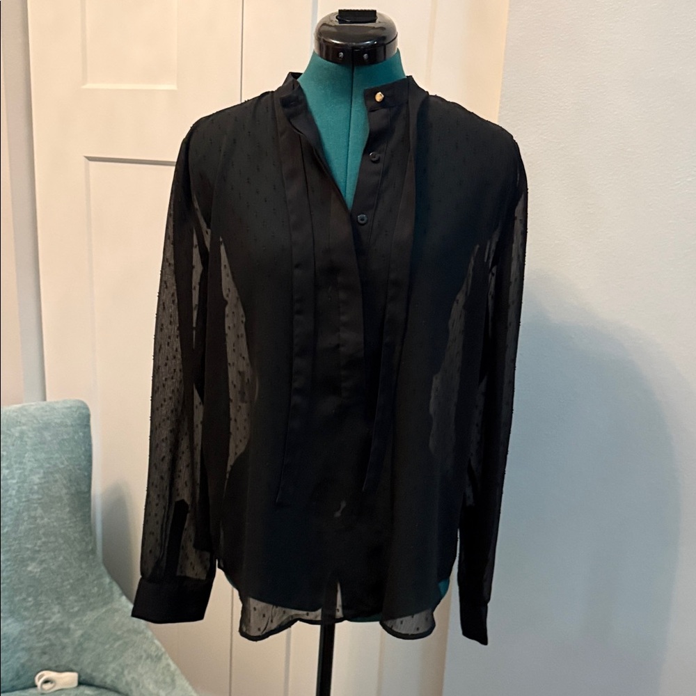 Ann Taylor Black Sheer Blouse